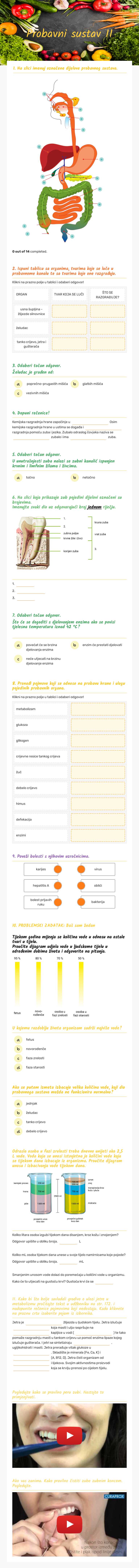 Probavni sustav II worksheet preview image
