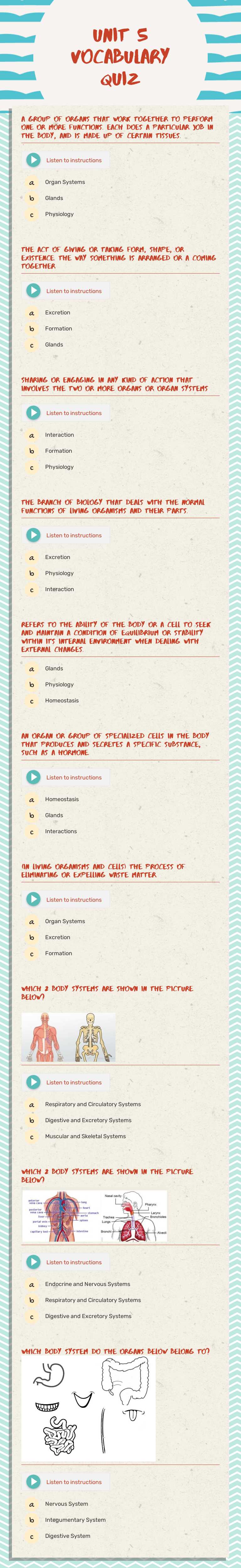 Unit 5 Vocabulary Quiz worksheet preview