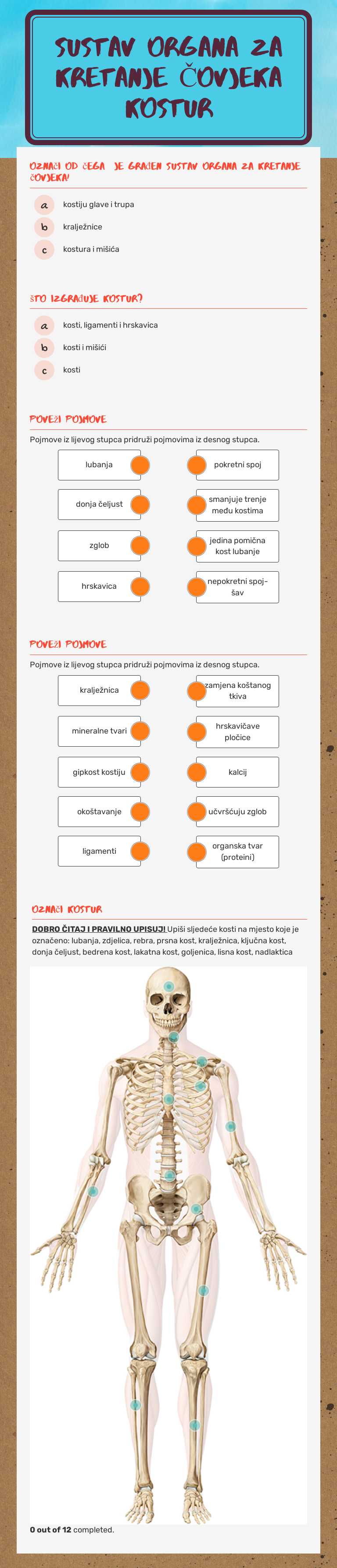 sustav organa za kretanje čovjeka
kostur worksheet preview image