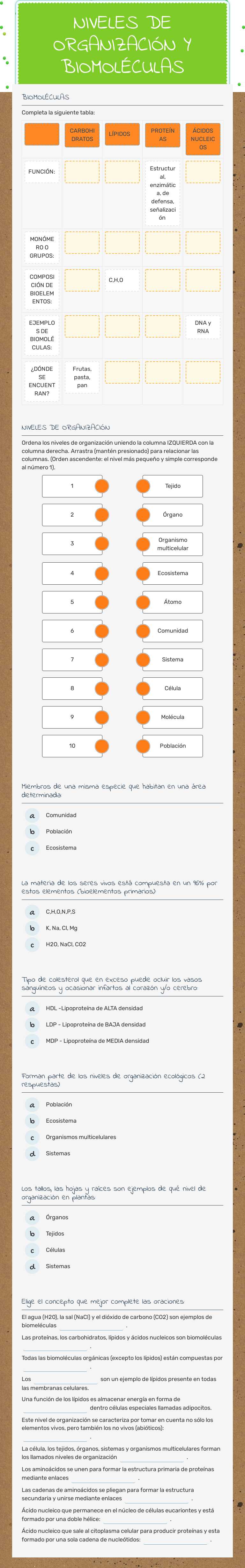NIVELES DE ORGANIZACIÓN
Y
BIOMOLÉCULAS Grade 10 worksheet preview
