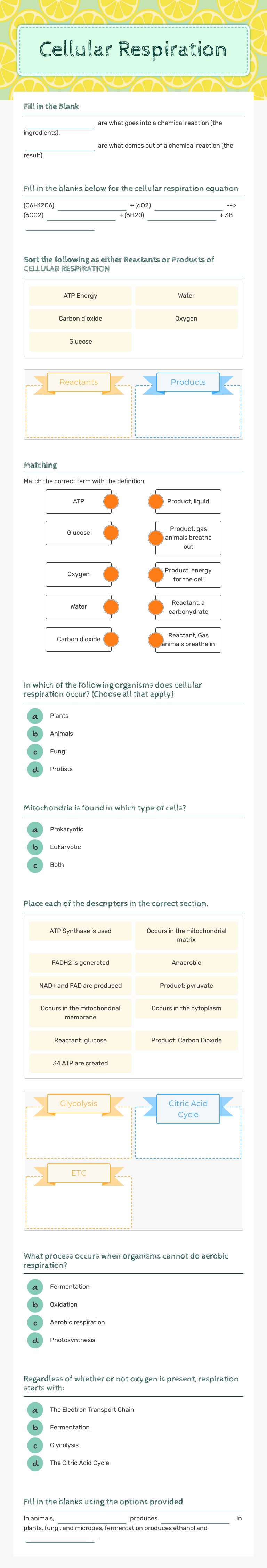 Cellular Respiration Grade 9 worksheet preview