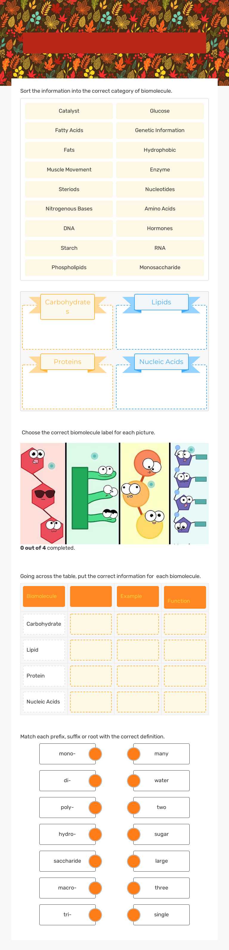 Biomolecules worksheet preview image