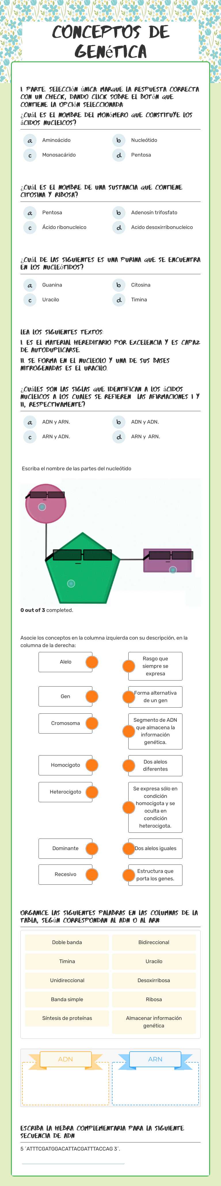 Conceptos de genética worksheet preview image