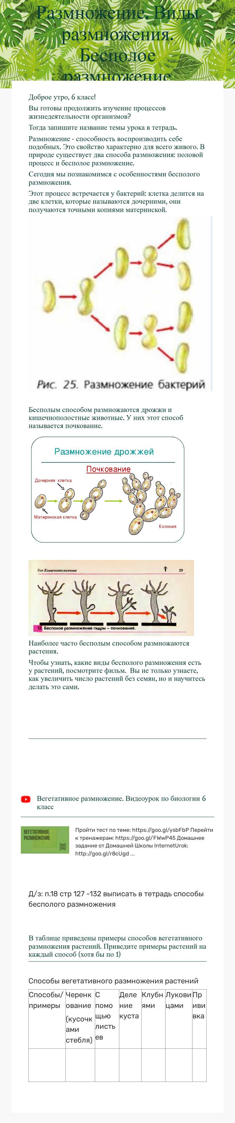 Размножение. Виды размножения. Бесполое размножение worksheet preview image