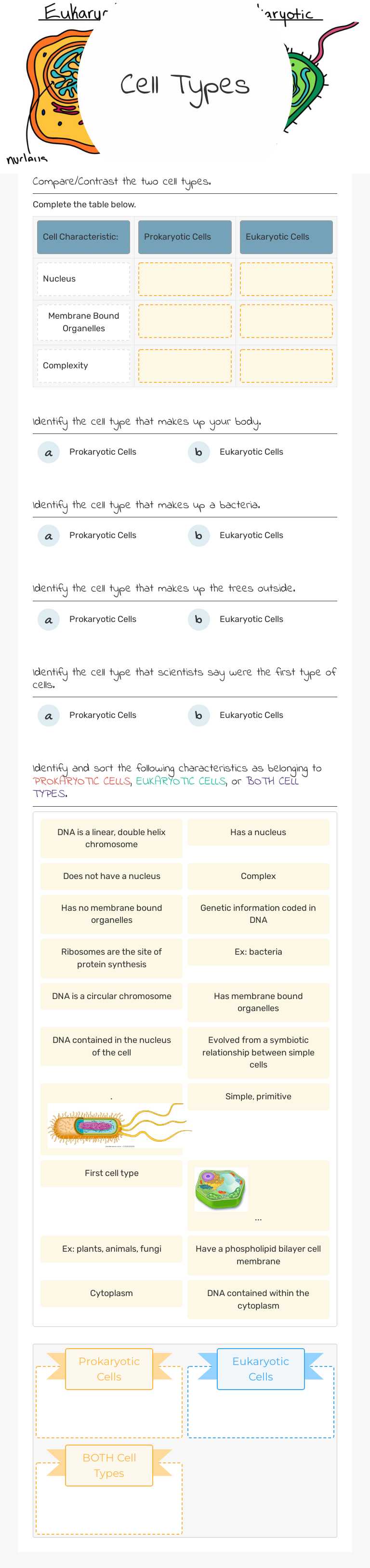 Cell 
Types Grade 9 worksheet preview