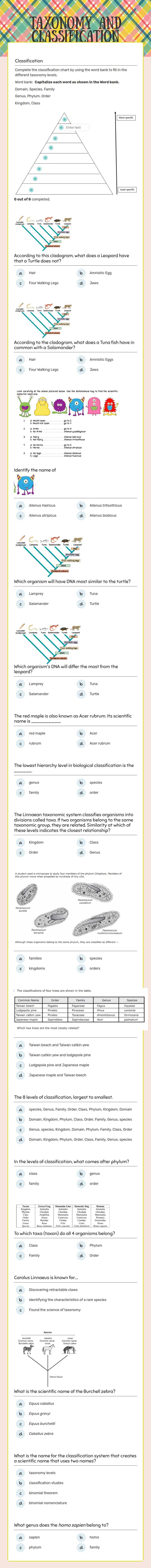 Taxonomy and Classification worksheet preview image
