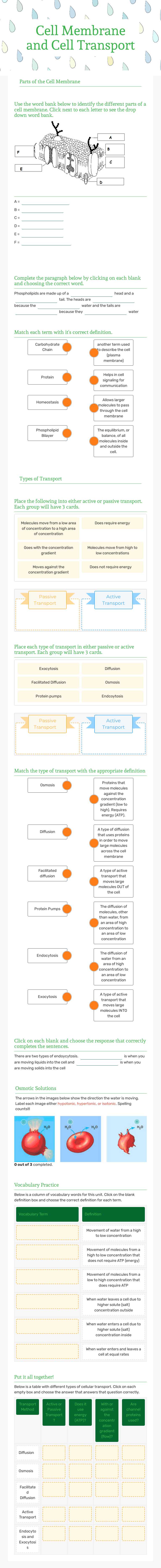 Cell Membrane and Cell Transport Grade 9 worksheet preview