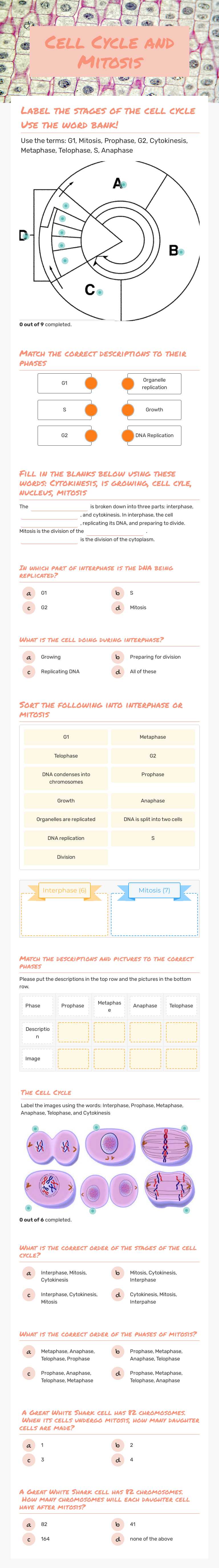 Cell Cycle and  Mitosis worksheet preview image