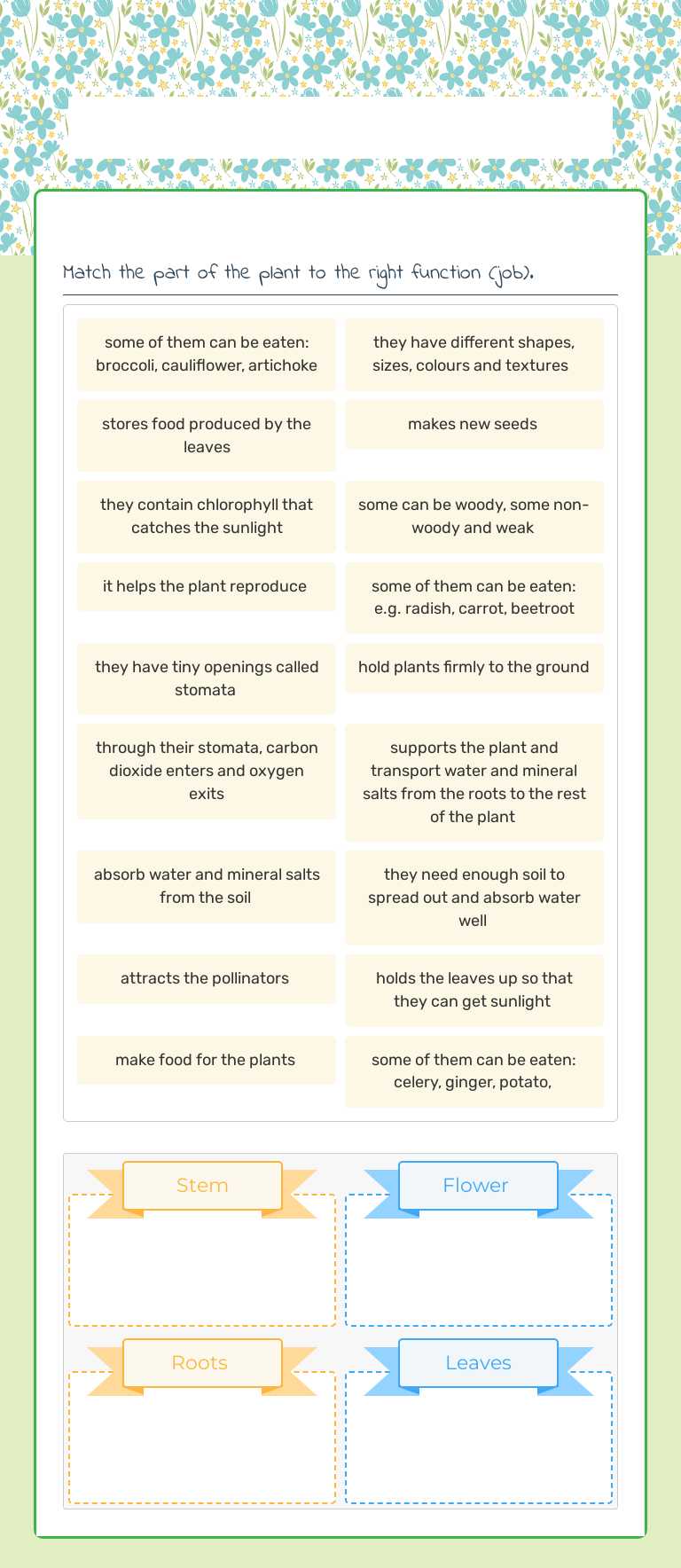 Parts of the Plant worksheet preview image