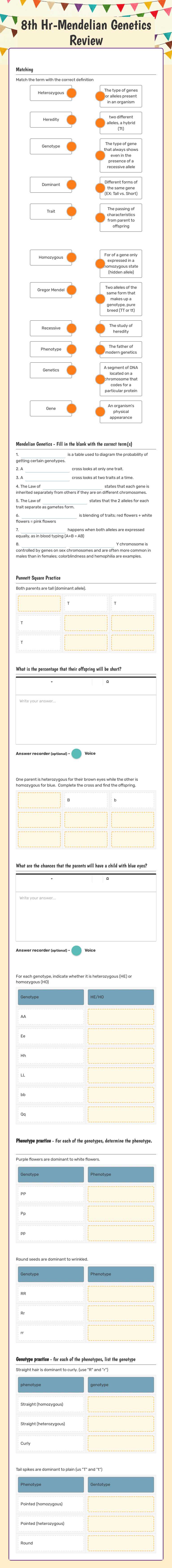 8th Hr-Mendelian Genetics Review worksheet preview image