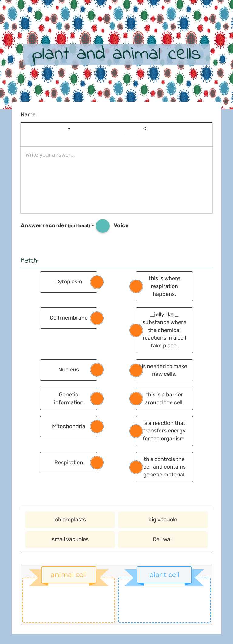 plant and animal cells worksheet preview image
