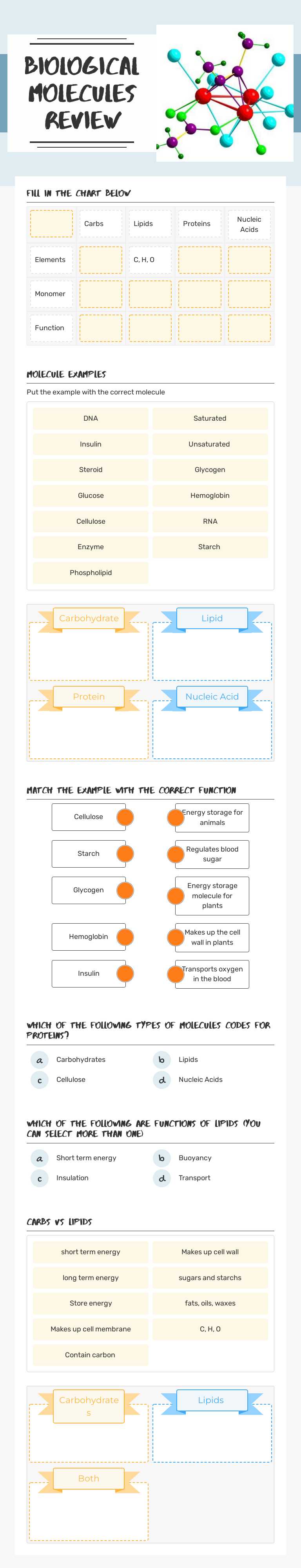 Biological Molecules Review worksheet preview image
