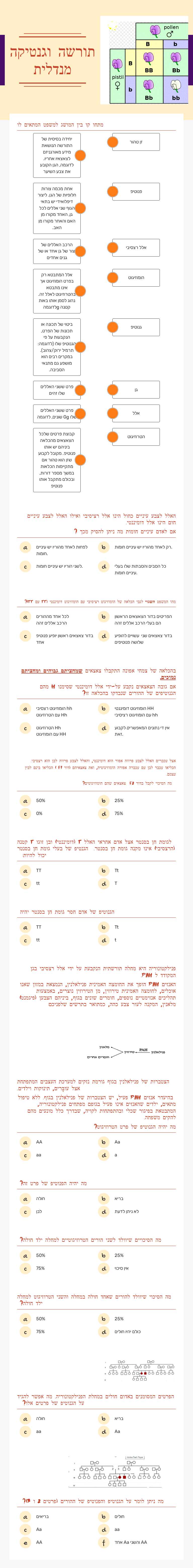 תורשה    וגנטיקה מנדלית Grade 10 worksheet preview
