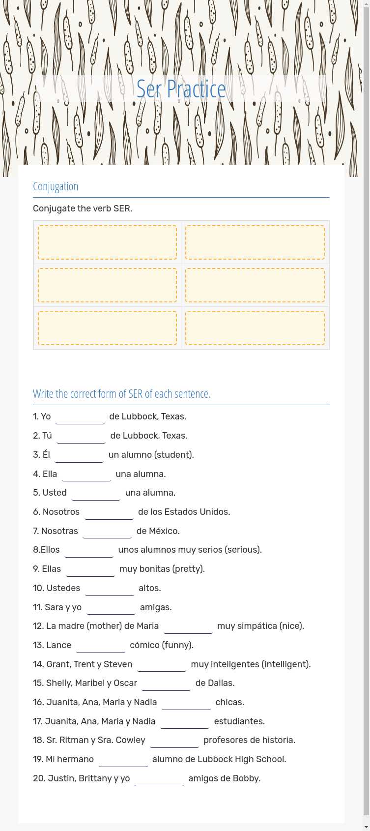 Ser Practice worksheet preview image