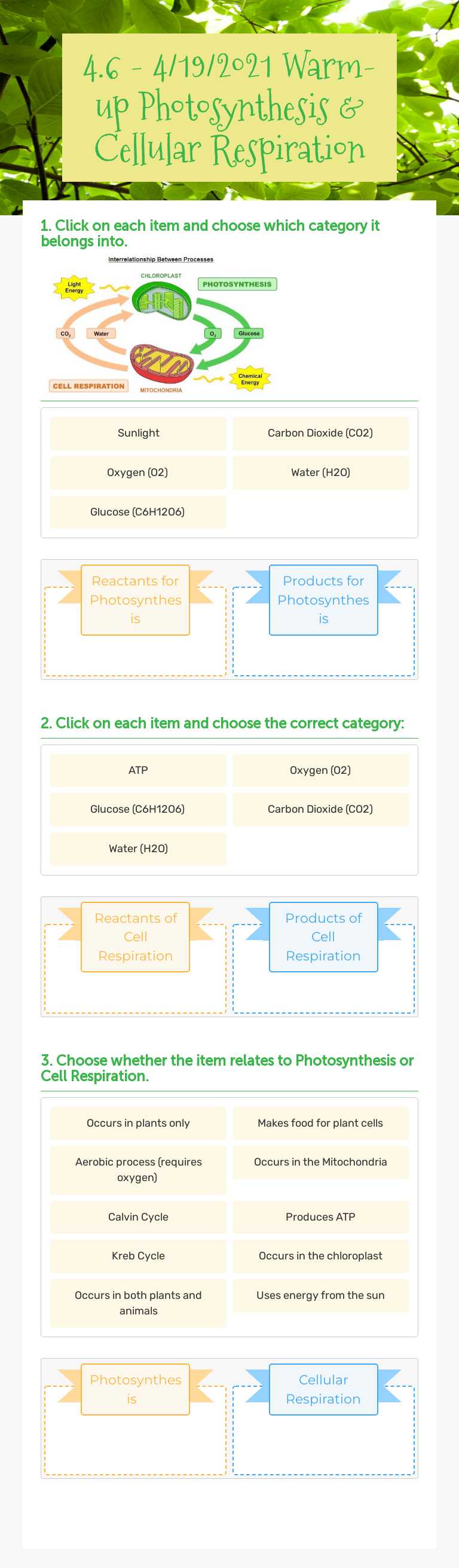4.6 - 4/19/2021 Warm-up Photosynthesis & Cellular Respiration worksheet preview image