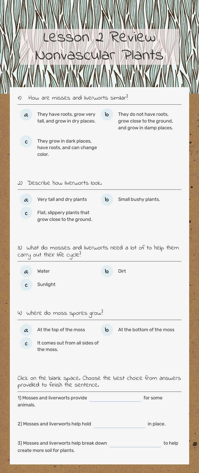 Lesson 2 Review Nonvascular Plants worksheet preview image