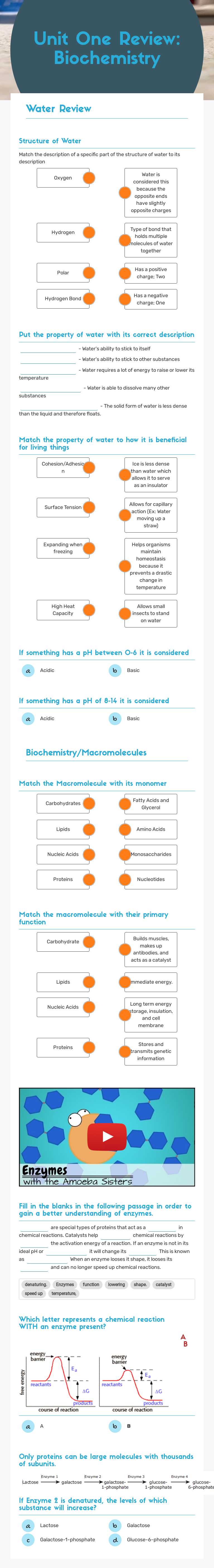 Unit One Review: 
 Biochemistry worksheet preview image