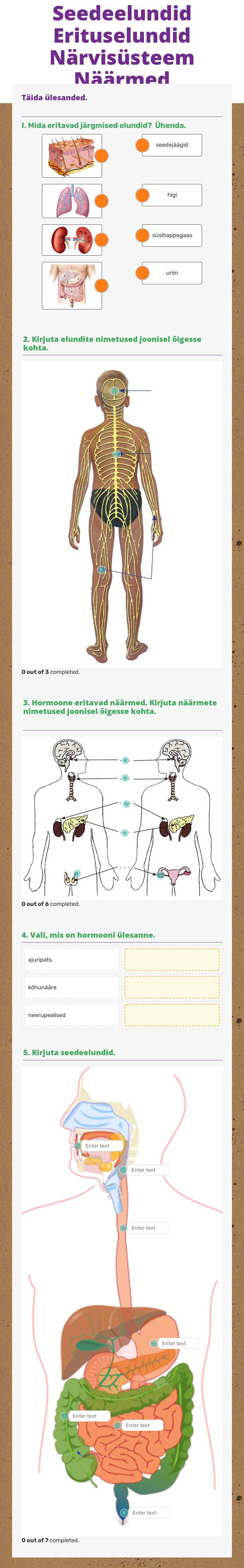 Seedeelundid
Erituselundid
Närvisüsteem
Näärmed worksheet preview image