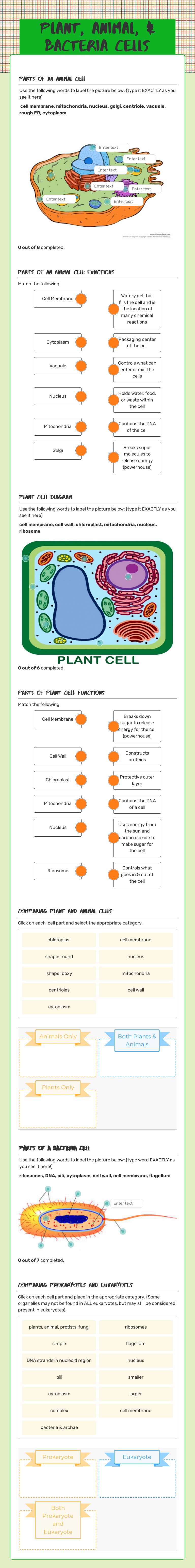 Plant, Animal, & Bacteria Cells worksheet preview image
