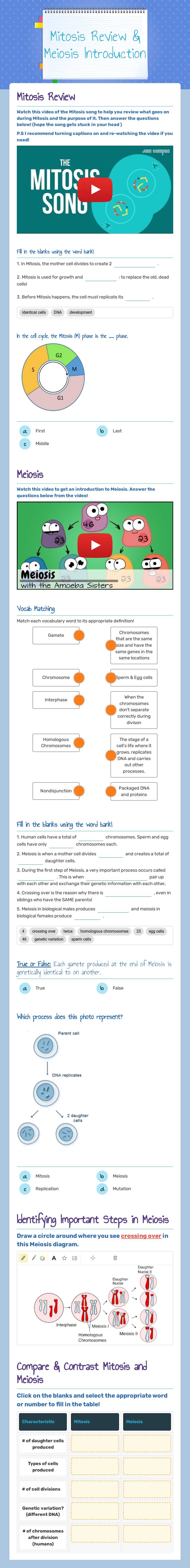 Mitosis Review & Meiosis Introduction worksheet preview image