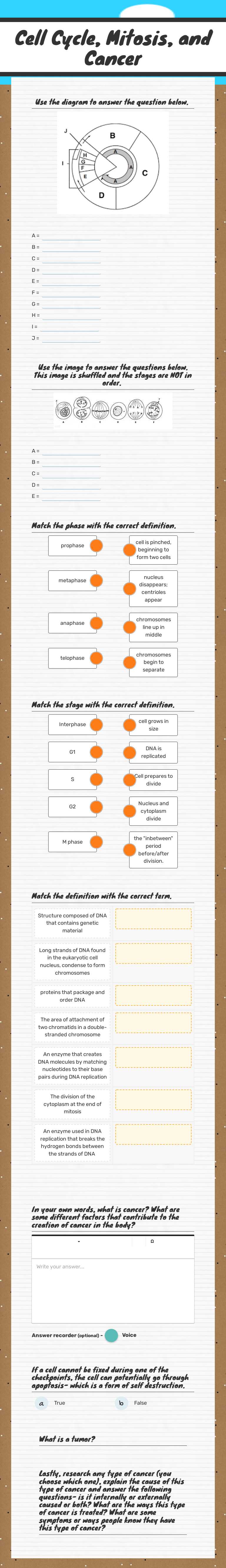 Cell Cycle, Mitosis, and Cancer worksheet preview image