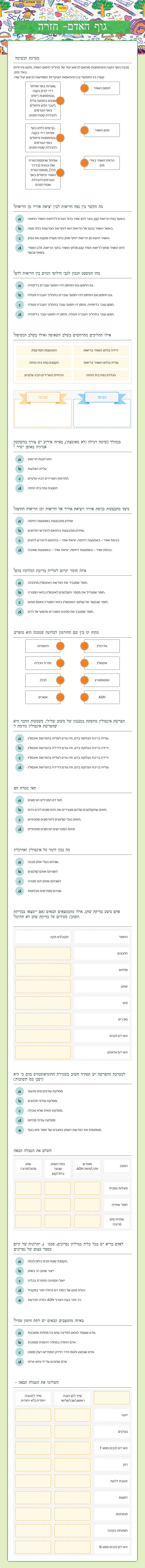 גוף האדם-
חזרה worksheet preview image