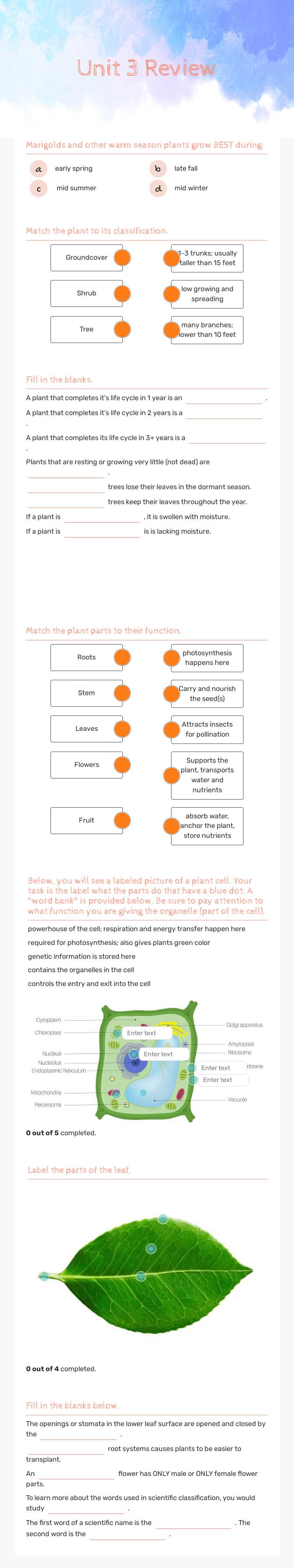 Unit 3 Review worksheet preview image