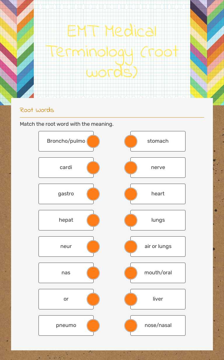 EMT Medical Terminology (root words) worksheet preview image