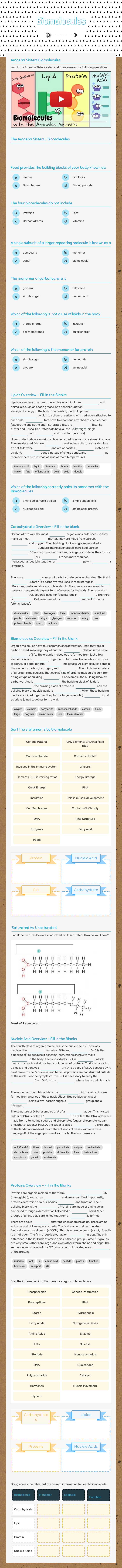 Biomolecules worksheet preview image