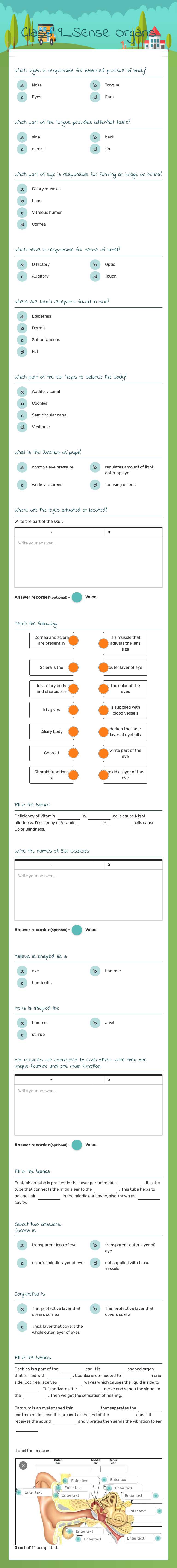 Class 9_Sense Organs worksheet preview image