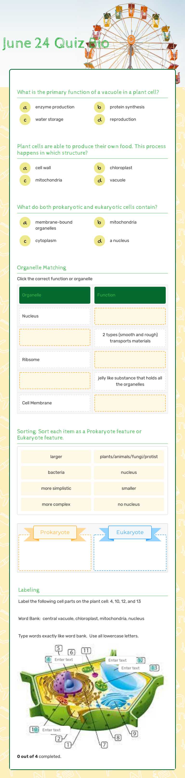 June 24 Quiz Bio worksheet preview
