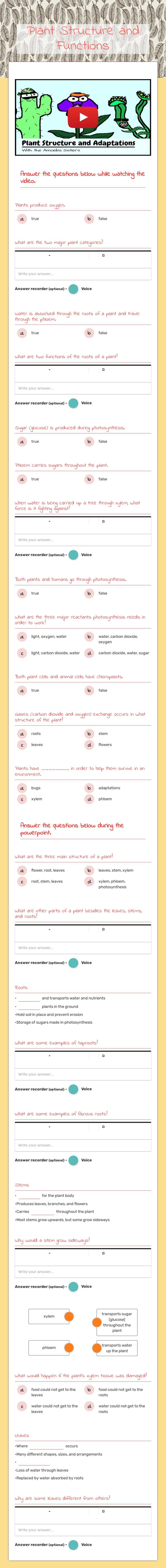 Plant Structure and Functions worksheet preview image