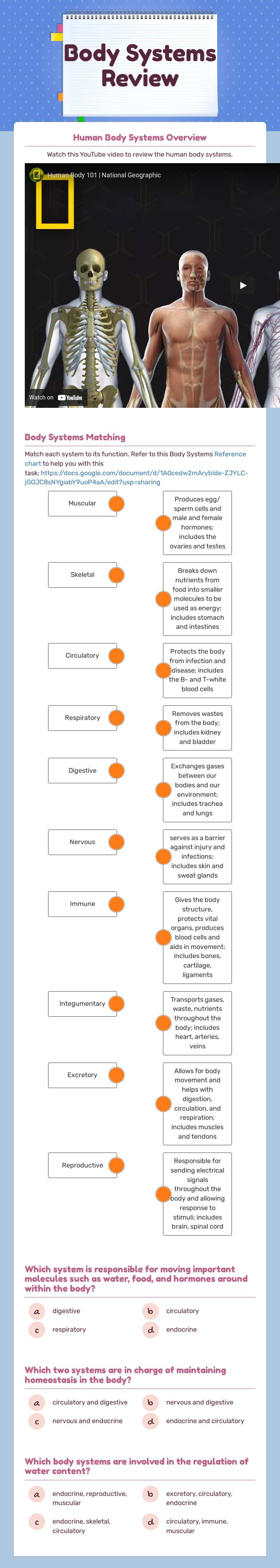 Body Systems Review worksheet preview image
