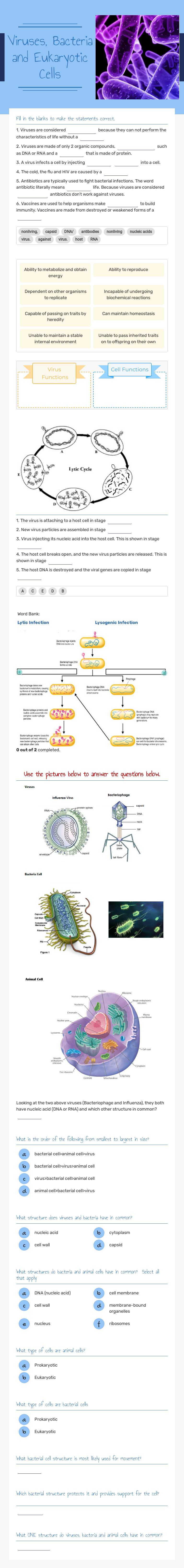 Viruses, Bacteria and Eukaryotic Cells Grade 11 worksheet preview