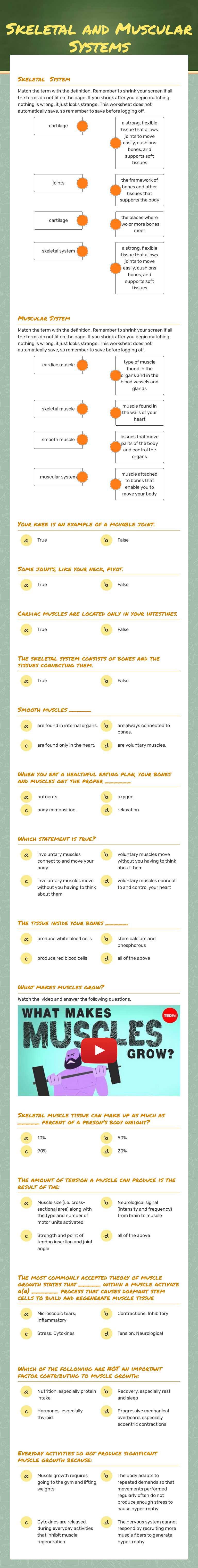 Skeletal and Muscular Systems worksheet preview image