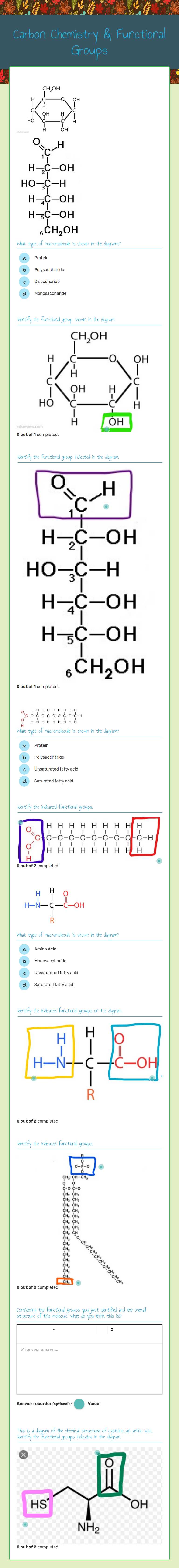 Carbon Chemistry & Functional Groups worksheet preview image