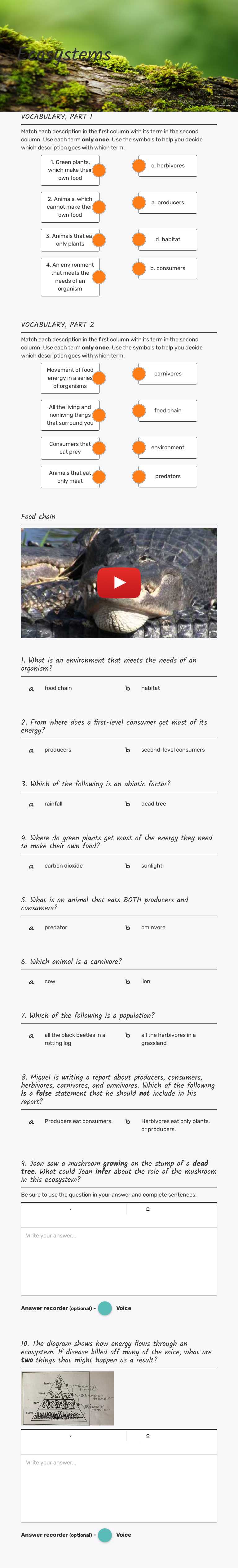 Ecosystems Grade 4 worksheet preview