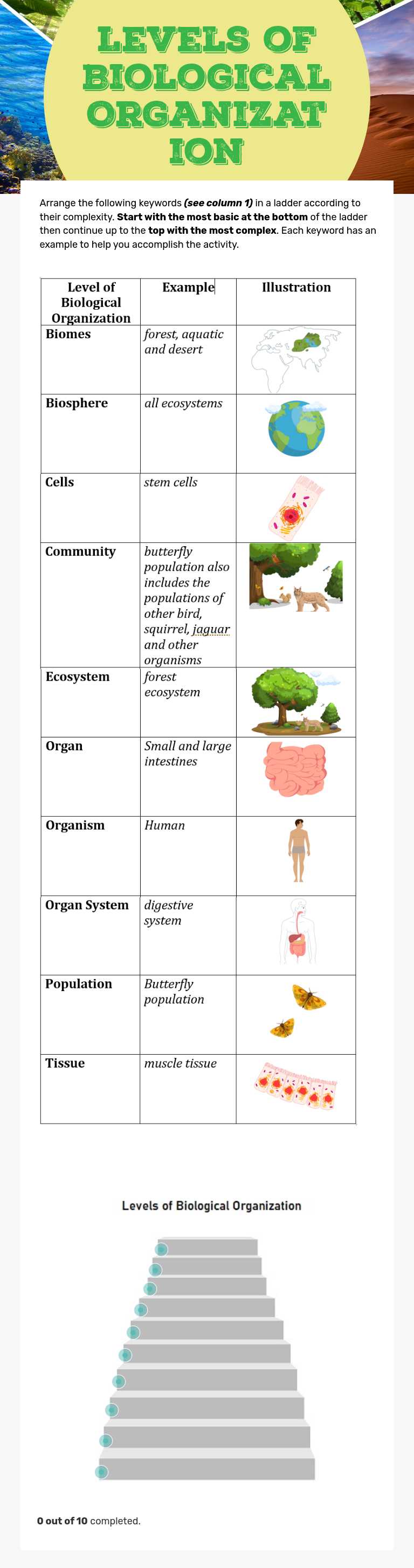 Levels of Biological Organization by Hazel Gultiano | Interactive ...