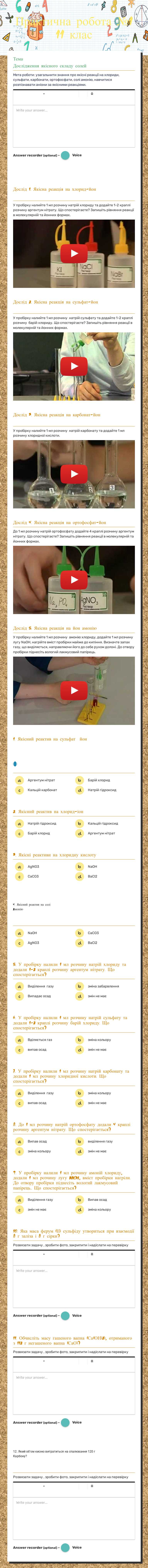 Практична робота №1  11 клас Grade 11 worksheet preview