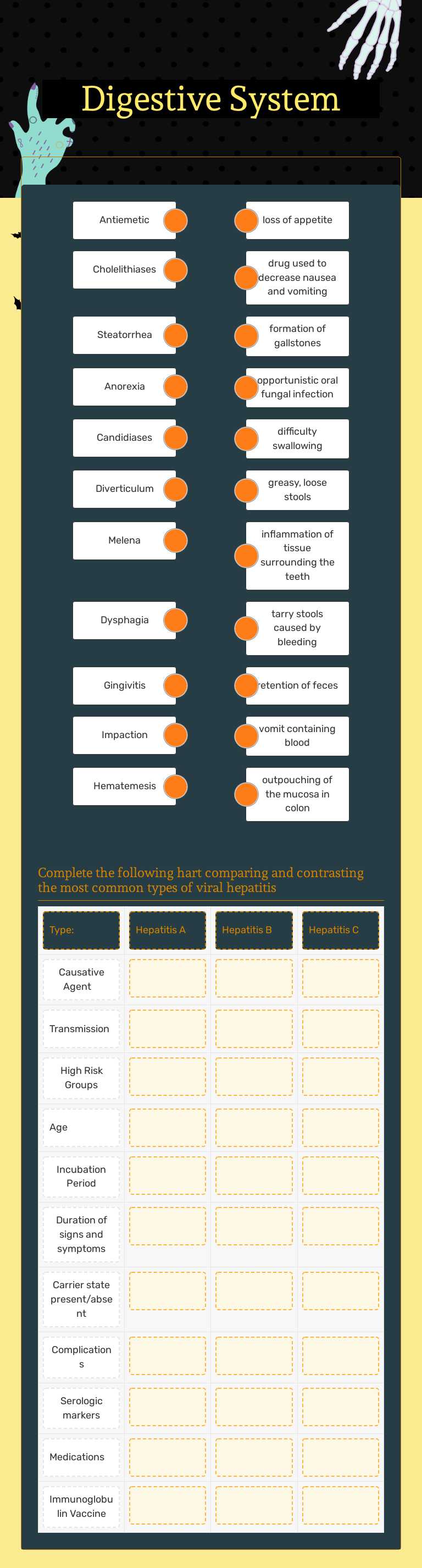 Digestive System Other worksheet preview