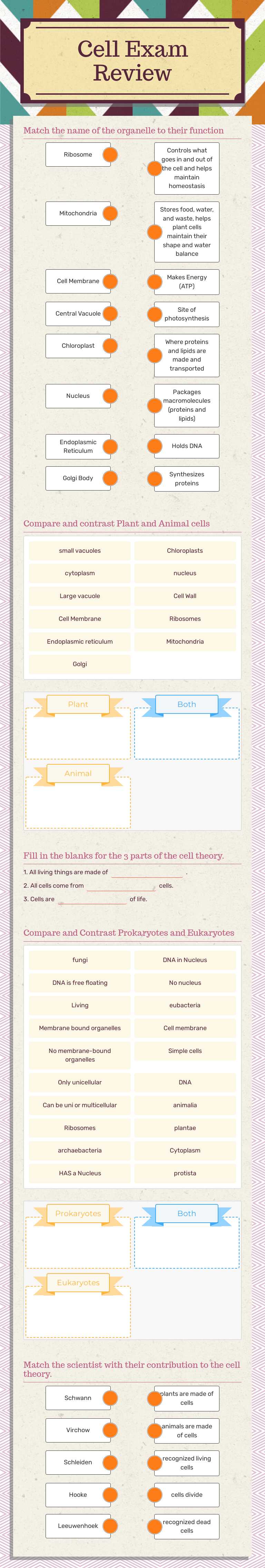 Cell Exam Review worksheet preview image