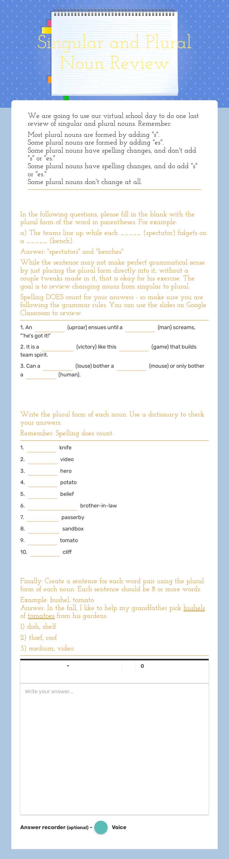 Singular and Plural Noun Review worksheet preview image