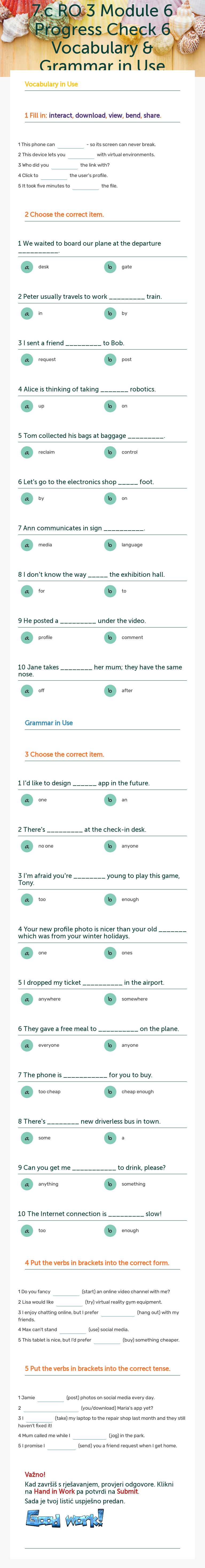 7.c RO 3 Module 6 Progress Check 6 Vocabulary & Grammar in Use worksheet preview image