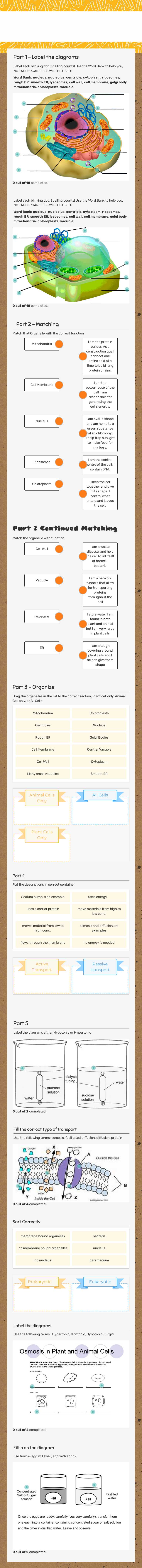 Cell organelles and Transport
Review worksheet preview image