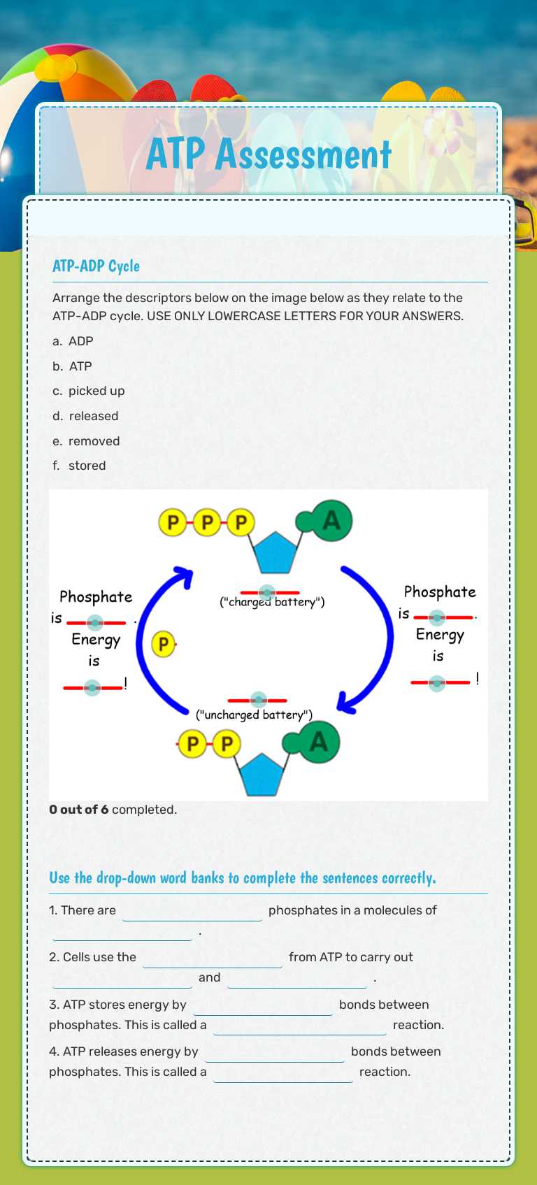 ATP  Assessment worksheet preview image