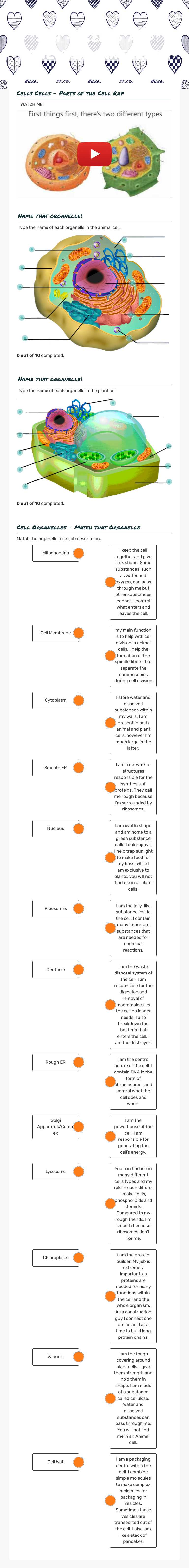 5th - Cells and their organelles Grade 8 worksheet preview