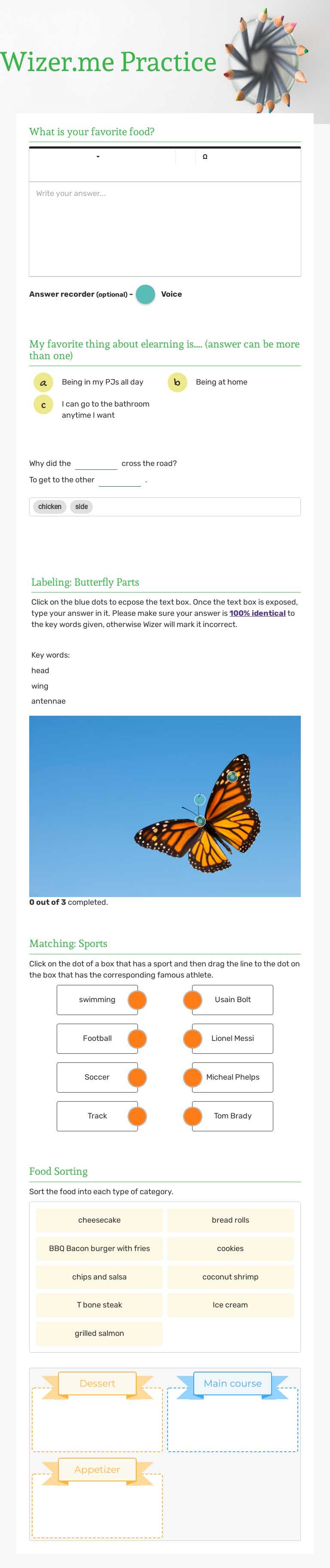 Wizer.me Practice worksheet preview image