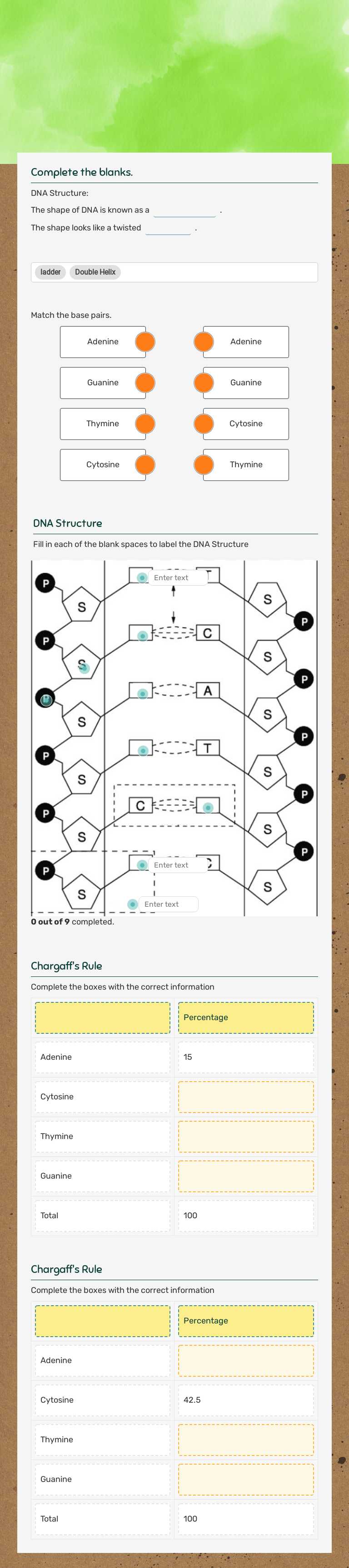 DNA Structure worksheet preview image