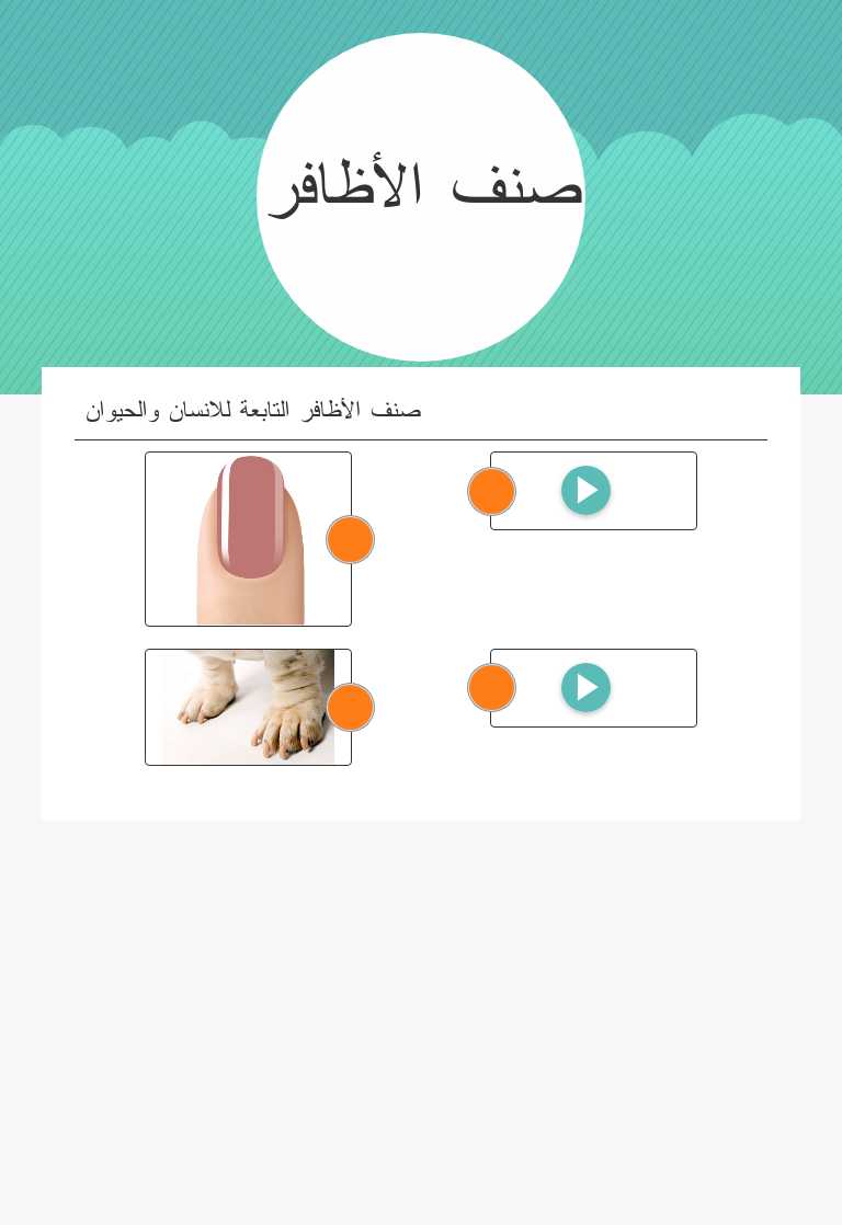 صنف الأظافر worksheet preview image
