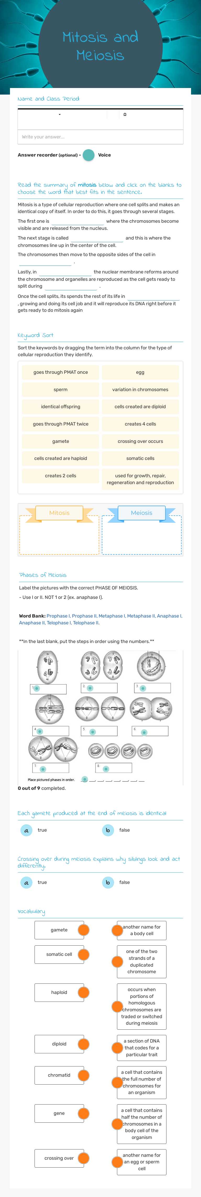 Mitosis and Meiosis worksheet preview image